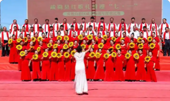 党员志愿服务进社区活动